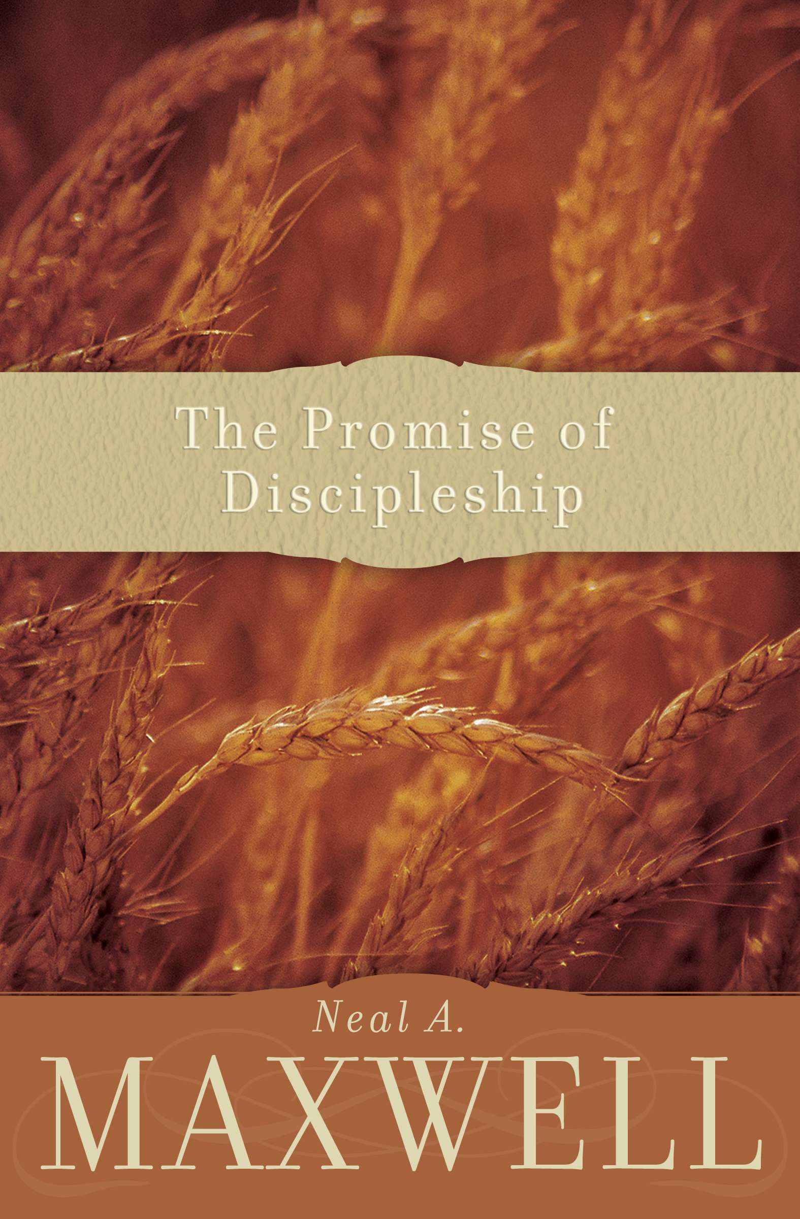 Promise of Discipleship, , large image number 0