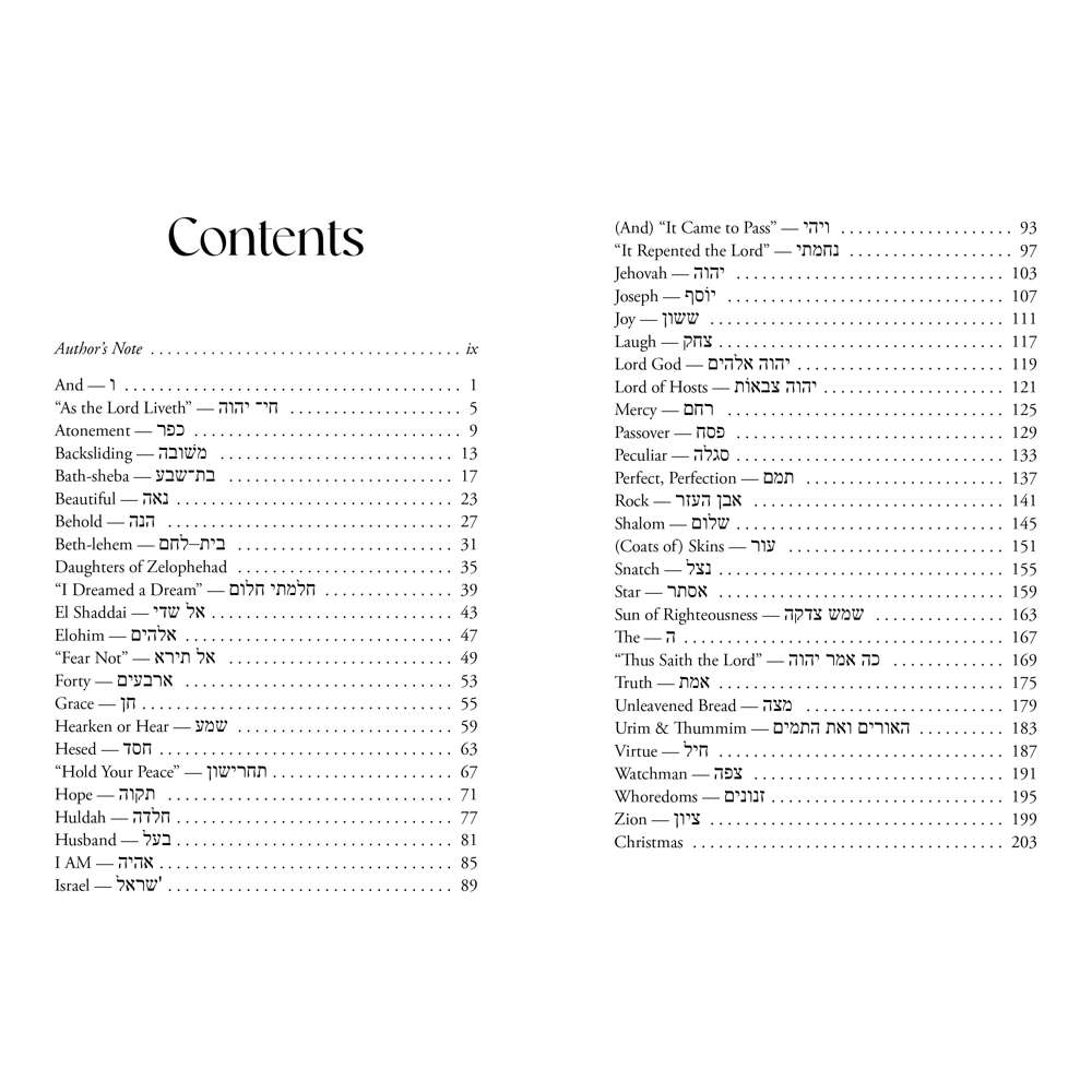 Hebrew Delights 3