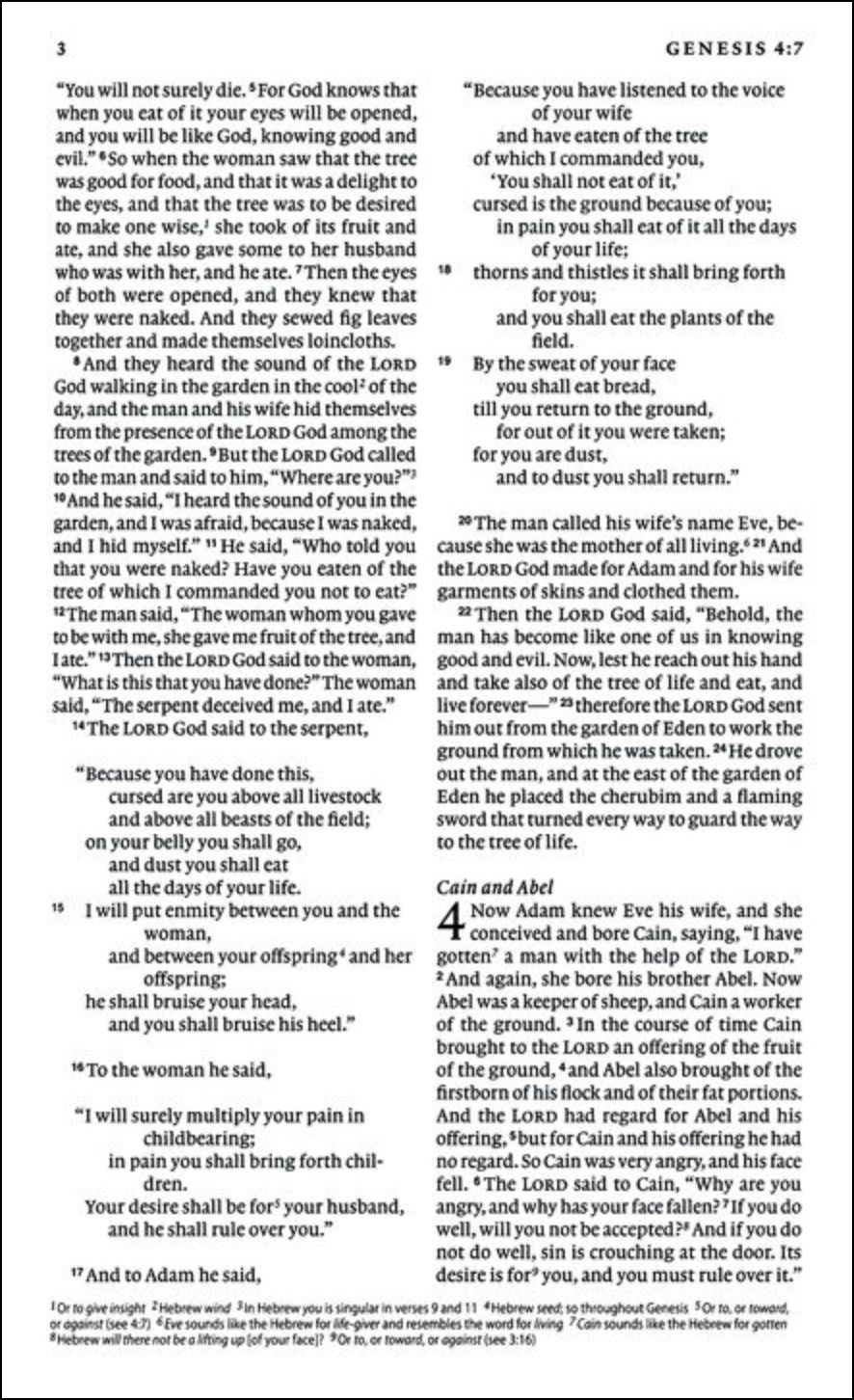 ESV Premium Gift Bible, Faux Leather, Paris Sky Fleur-de-Lis, , large