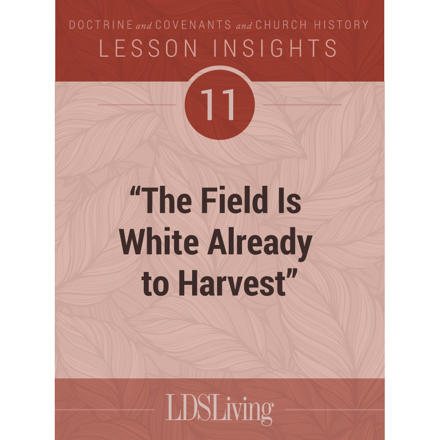Lesson Insights Doctrine and Covenants and Church History #11