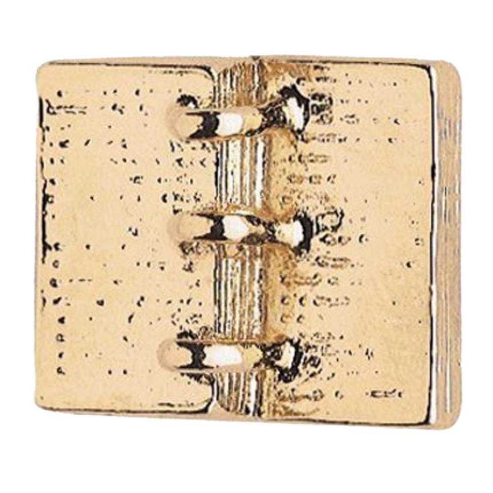 Golden Plates Tac Pin, , large image number 0
