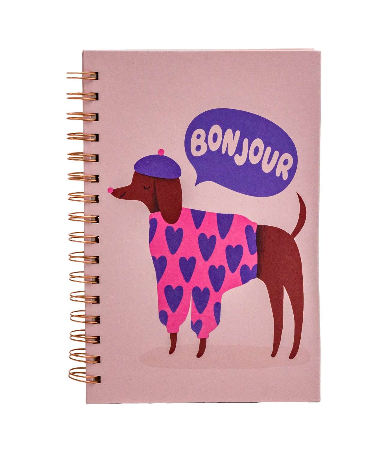 Bonjour Mes Amis Journal
