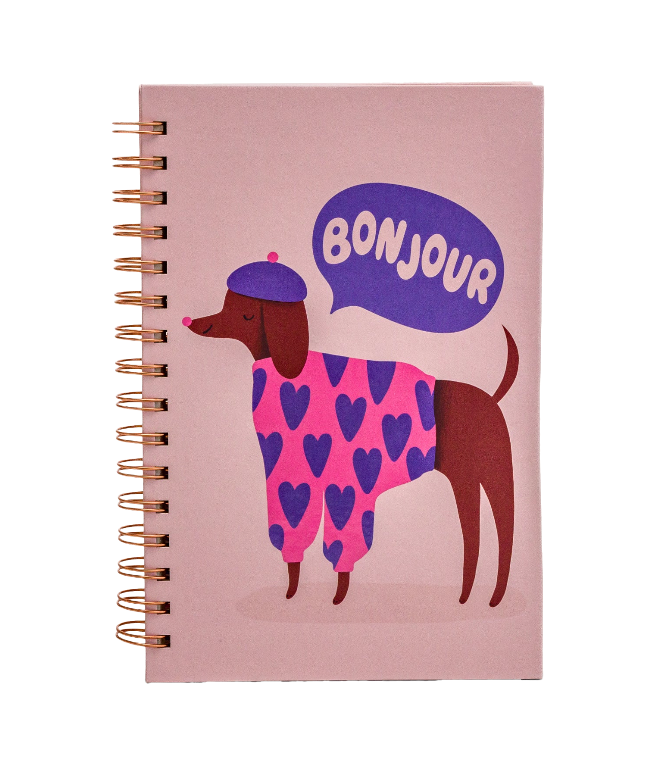 Bonjour Mes Amis Journal