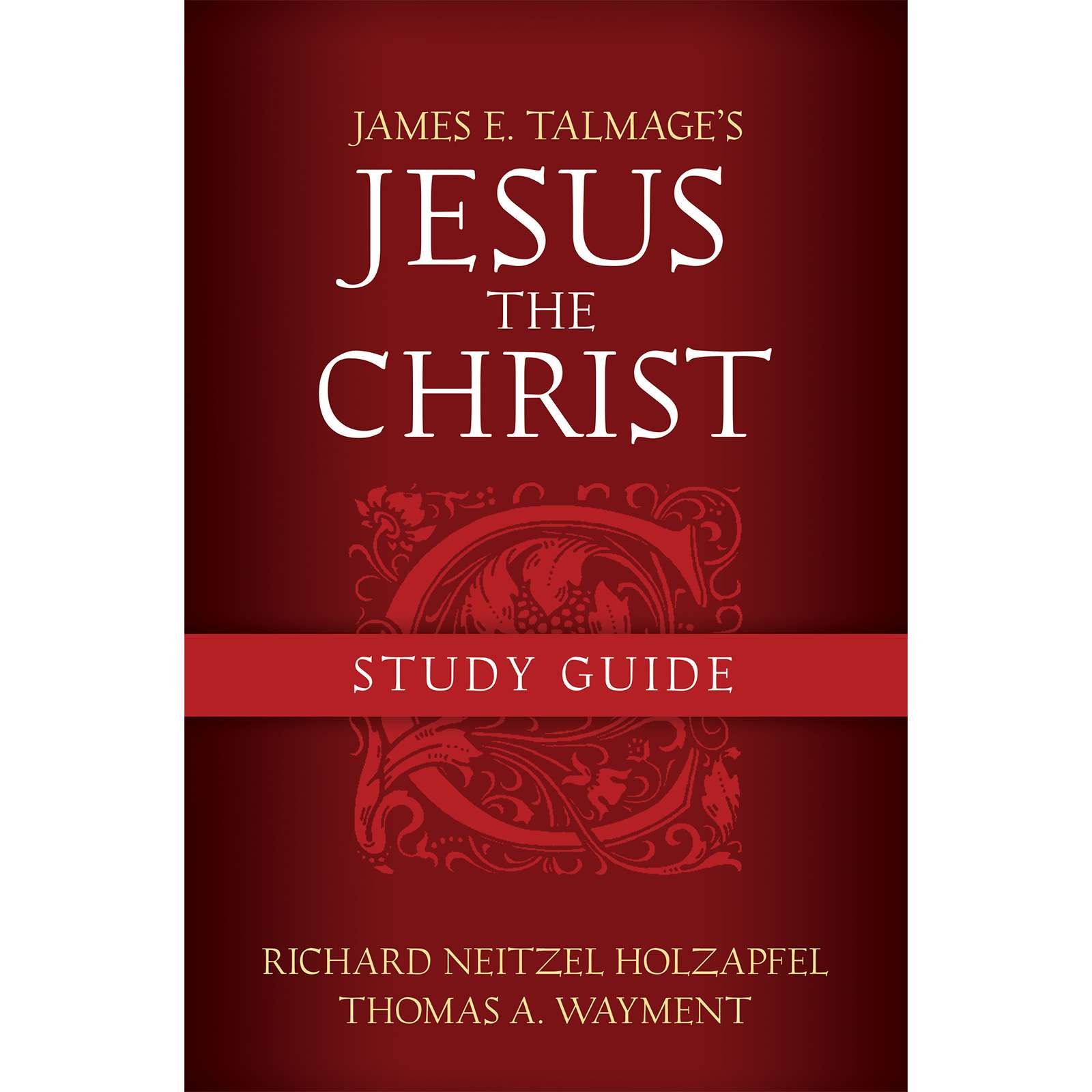 Jesus the Christ Study Guide, , large image number 0