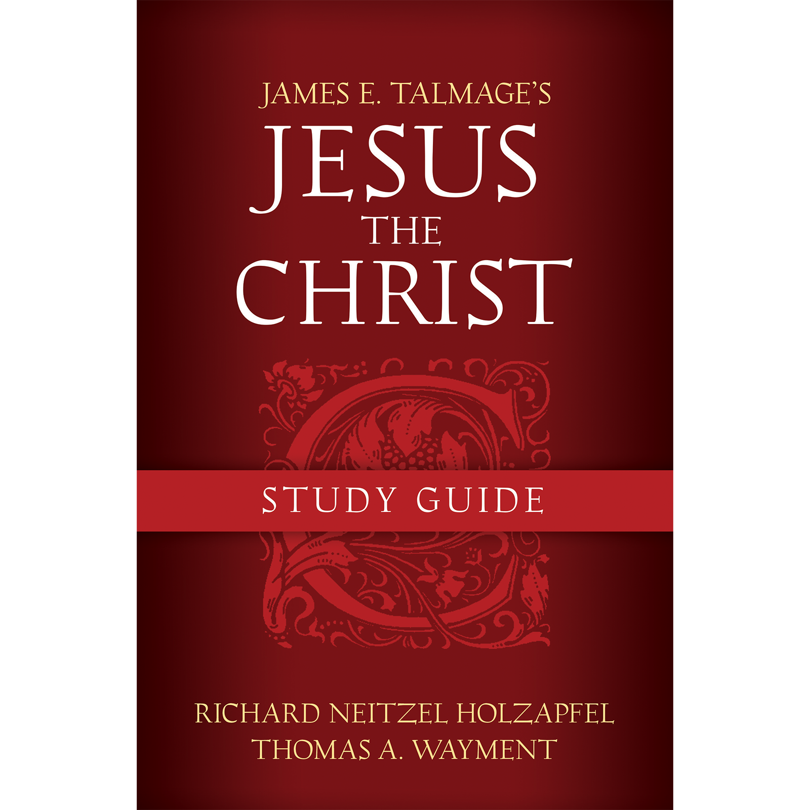 Jesus the Christ Study Guide, , large image number 0