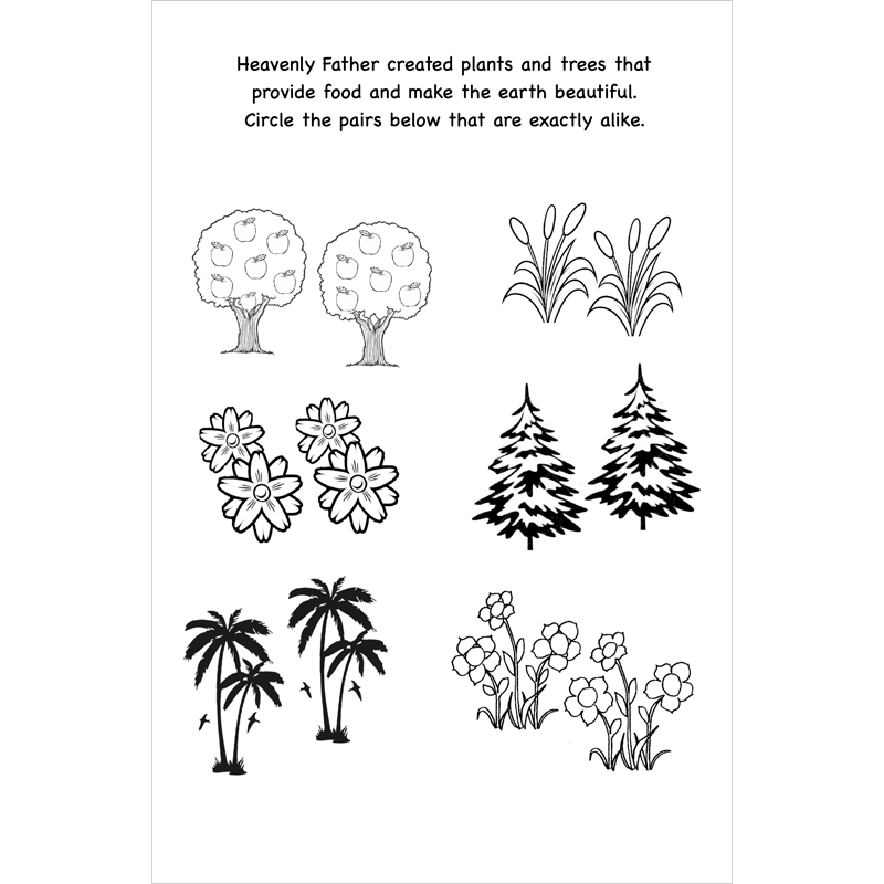 The Creations of Heavenly Father Activity Book, , large image number 5