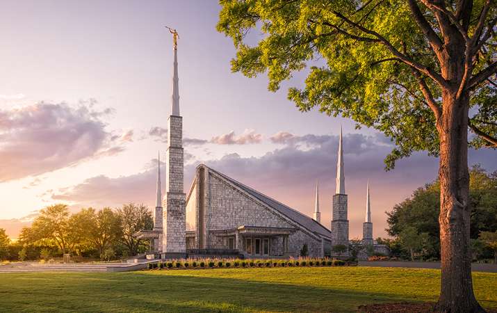 Dallas Temple Recommend Holder, , large image number 1