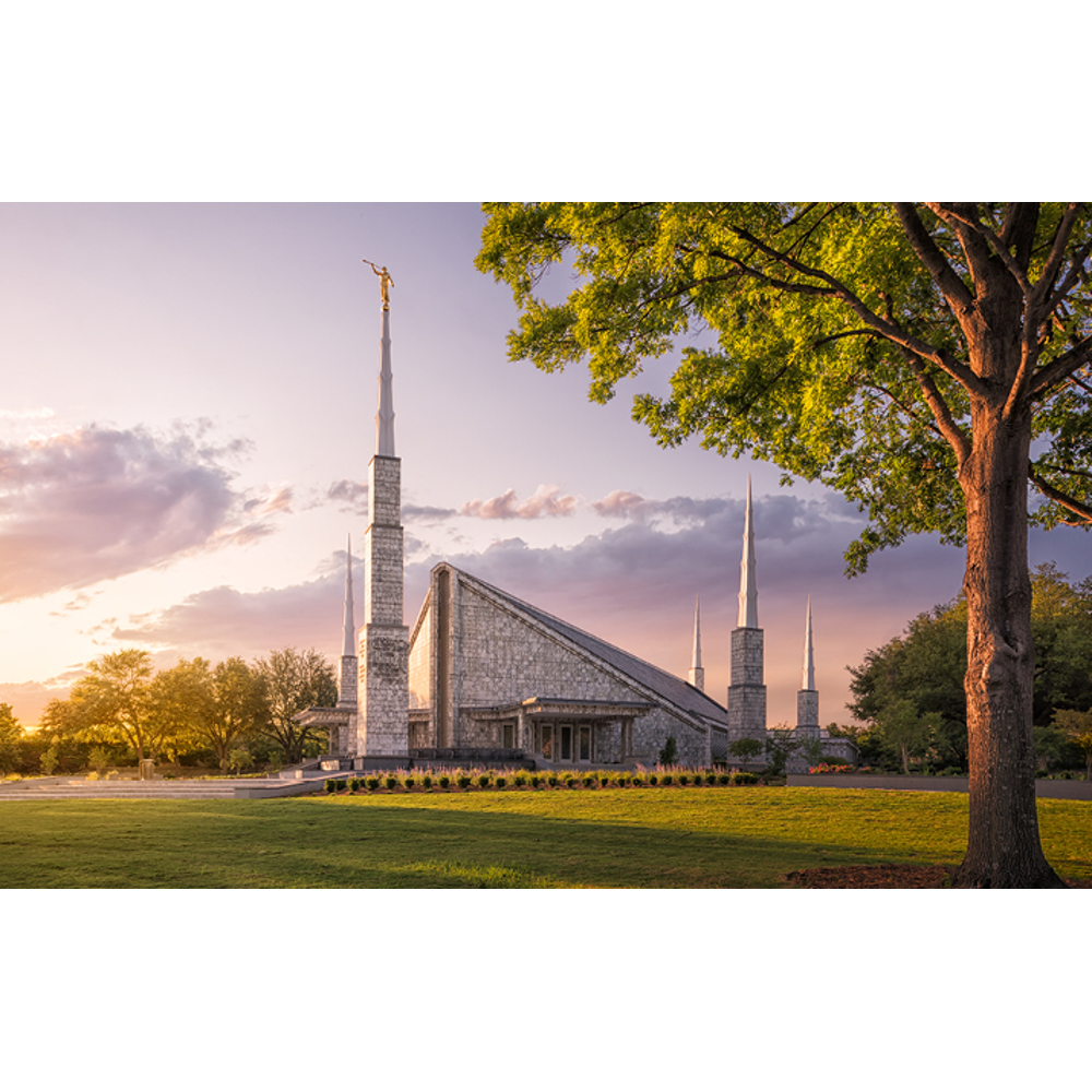 Dallas Temple Recommend Holder, , large image number 1