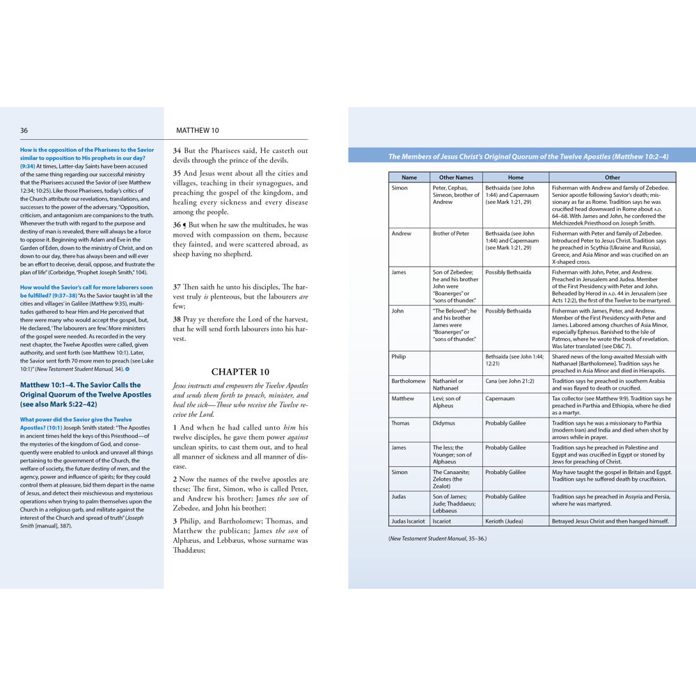 The New Testament Study Guide: Start to Finish, , large