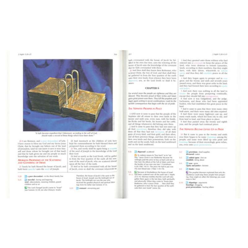 The Book of Mormon for Latter-day Saint Families, , large image number 3