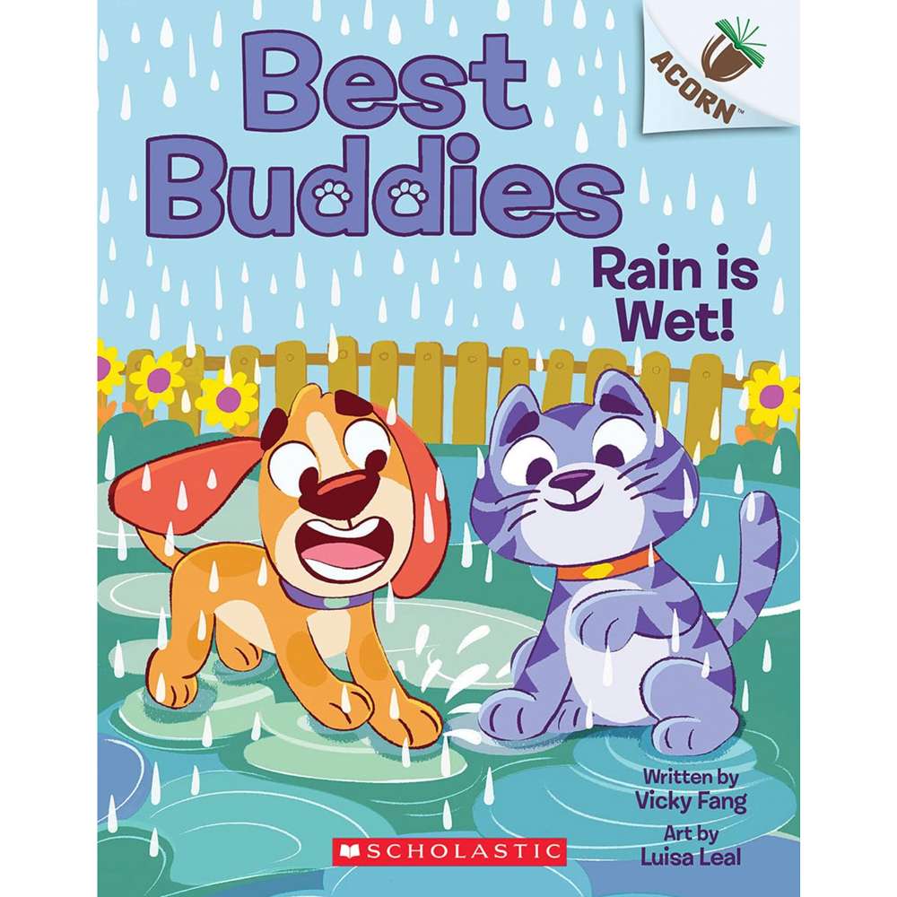 Rain is Wet!