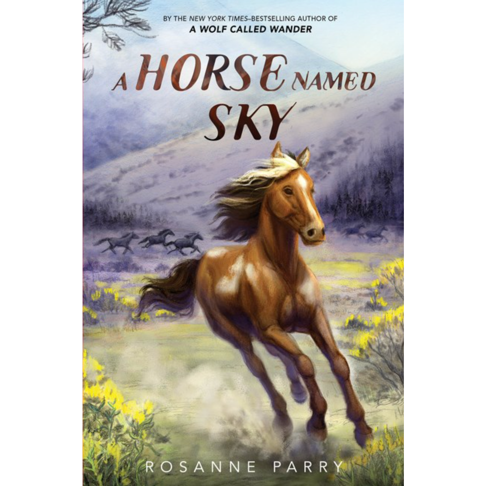 A Horse Named Sky,  A Horse Named Sky