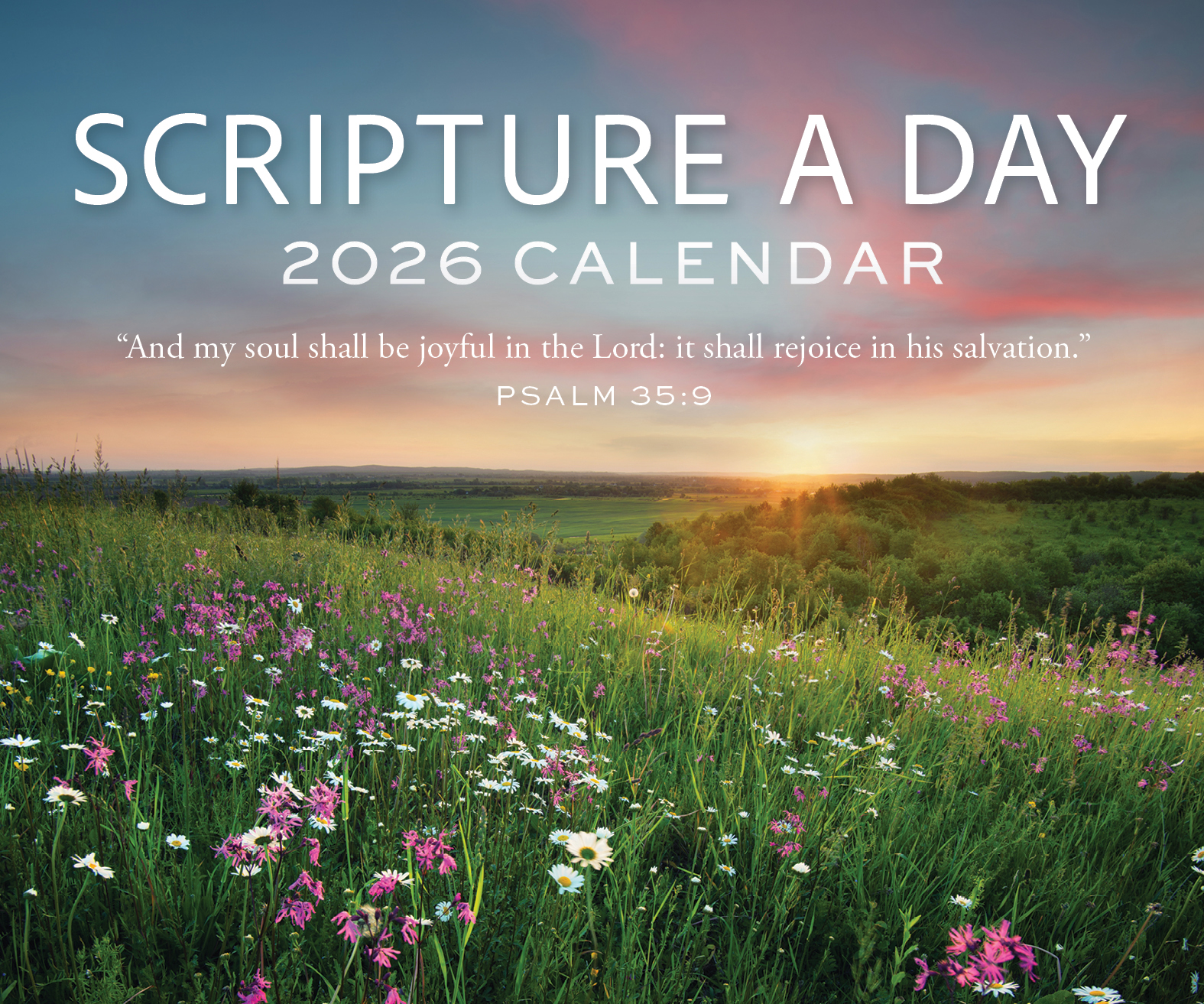 2026 Scripture a Day Old Testament Desktop Calendar