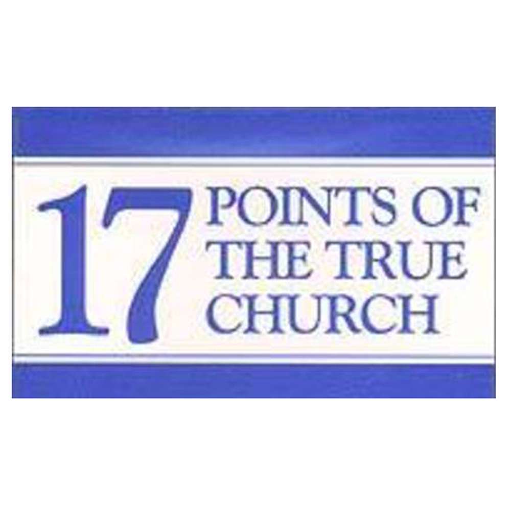17 Points of the True Church Cards, , large image number 0