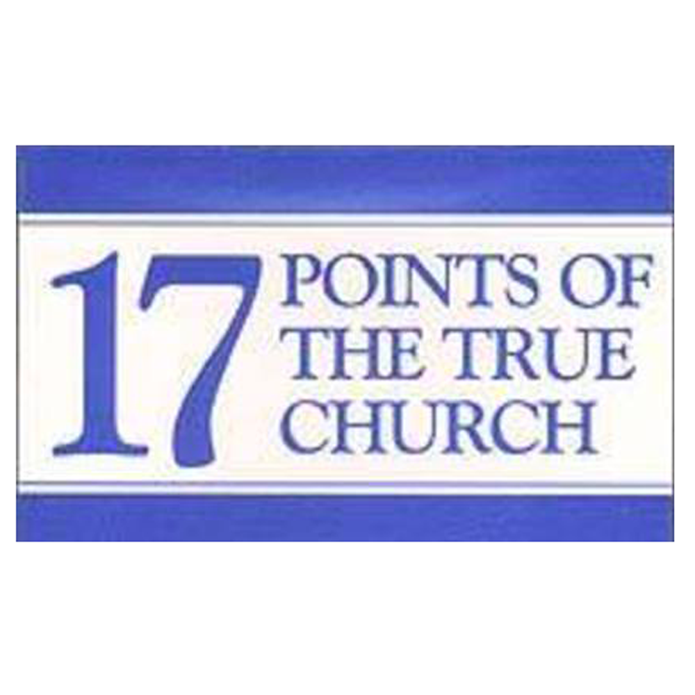 17 Points of the True Church Cards, , large image number 0