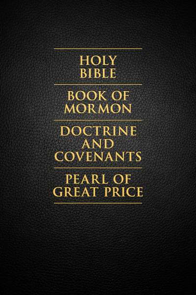 The Standard Works, , large image number 0