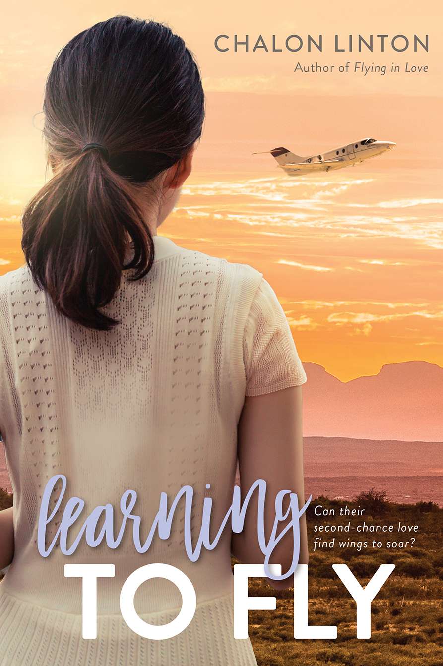 Learning to Fly (Air Force Romance, Vol. 3)
