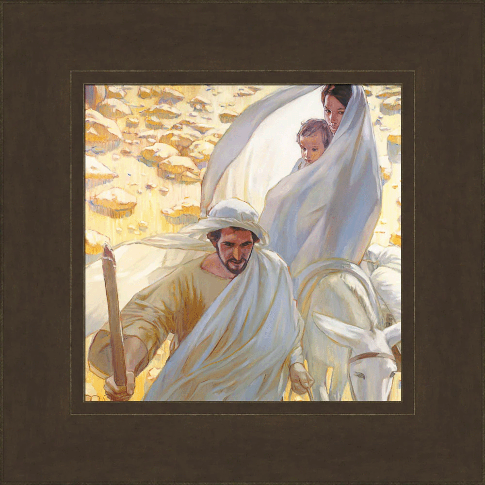 Flight (14x14 Framed Print)