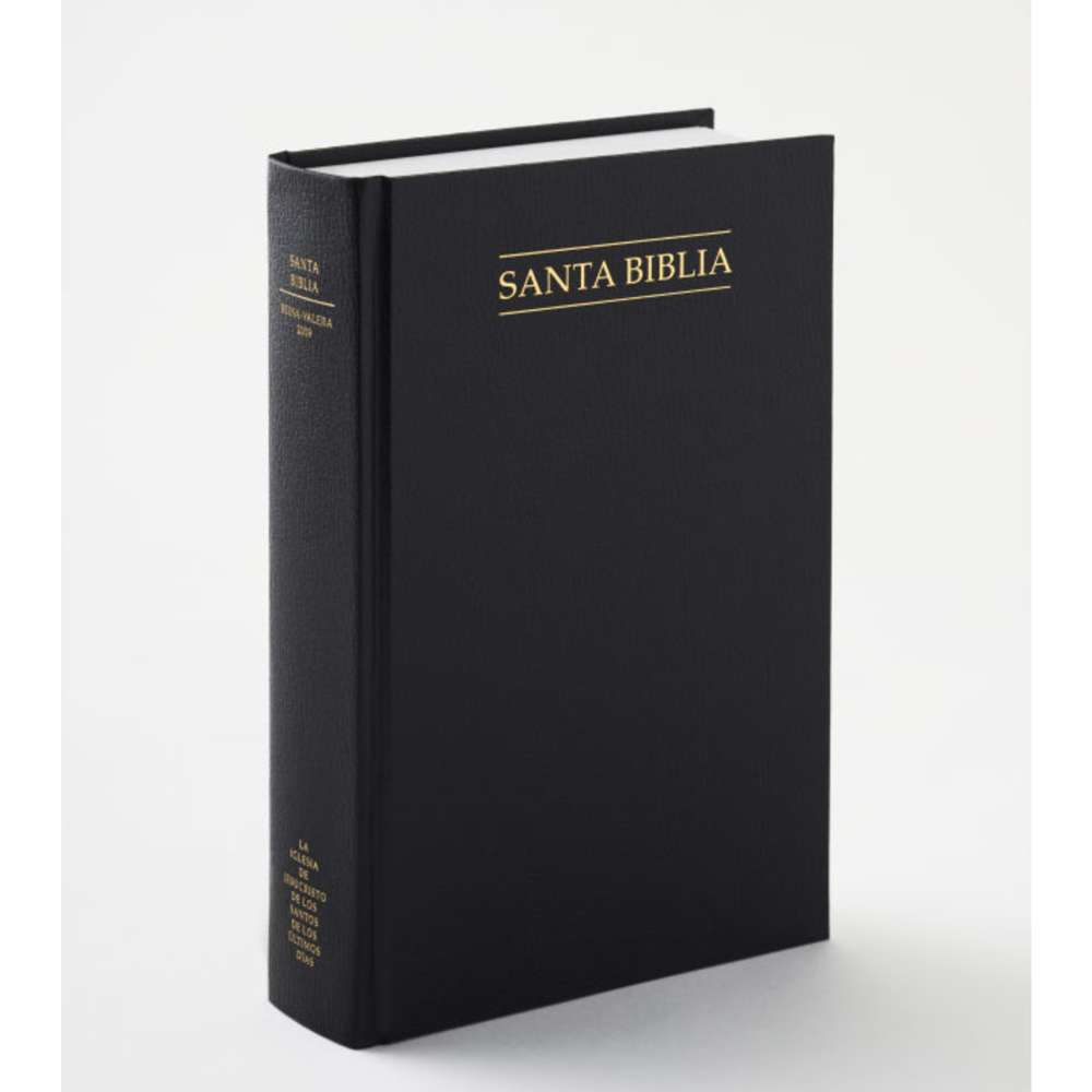 Spanish Holy Bible, Economy Hardcover, Unindexed