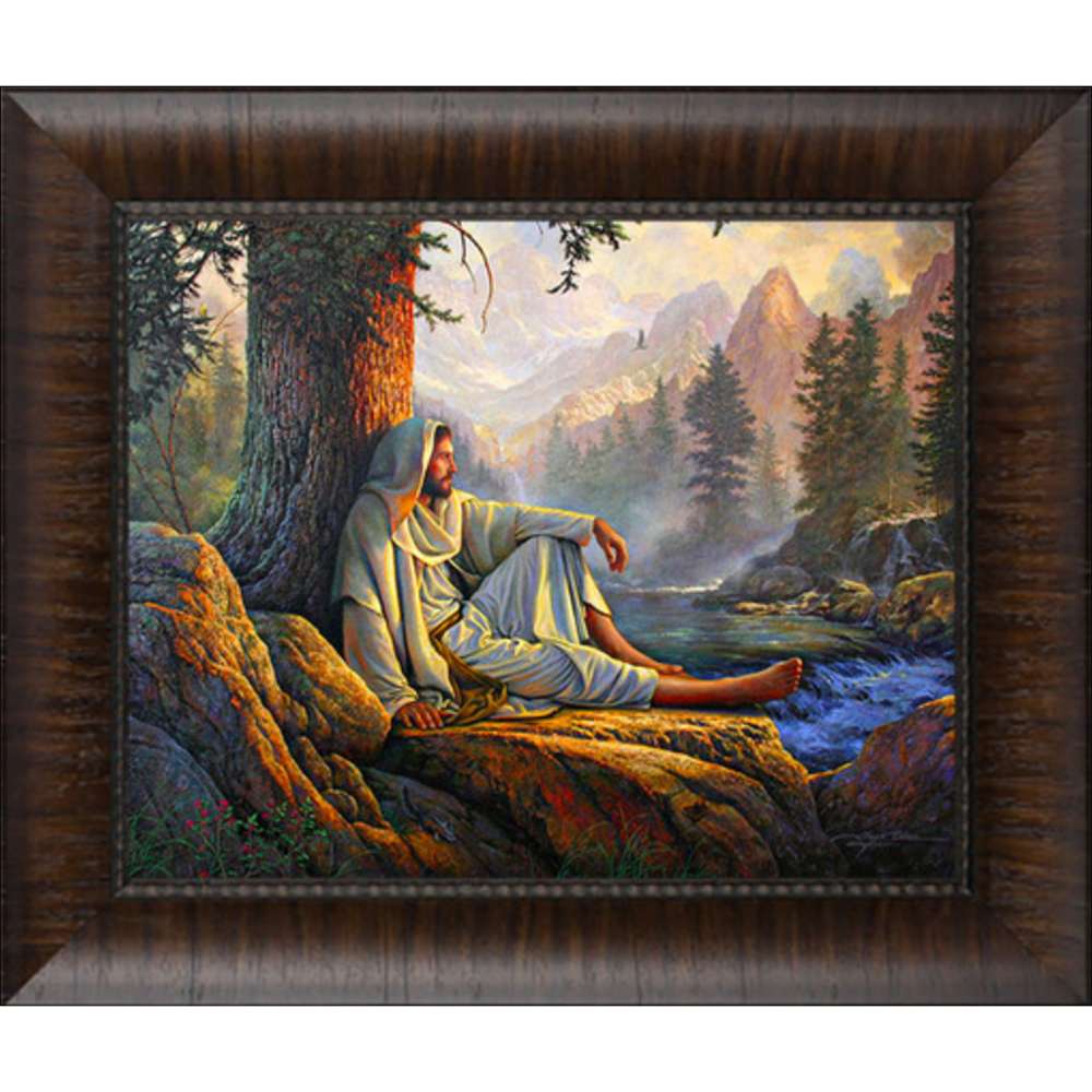 Awesome Wonder (21x26 Framed Art)