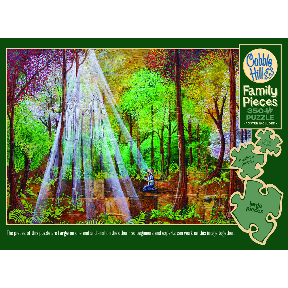 The First Vision 350 Piece Family Puzzle - SQUIRES, SABRINA | Deseret Book