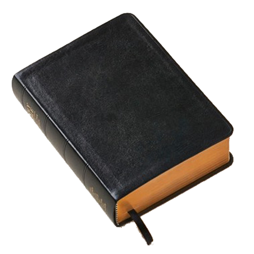 Triple Combination Simulated Leather, Regular Indexed, Black