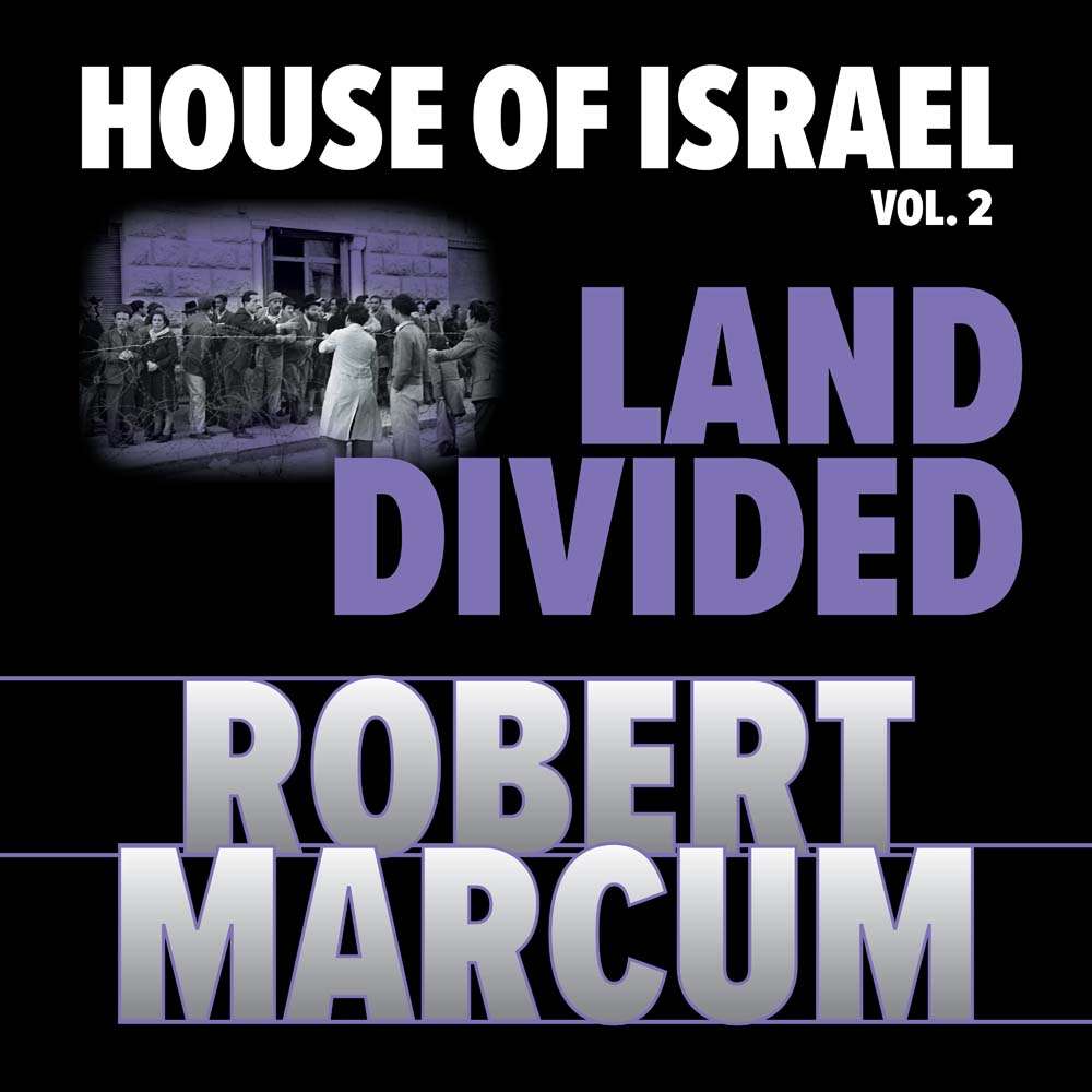 Land Divided (House of Israel, Book 2)