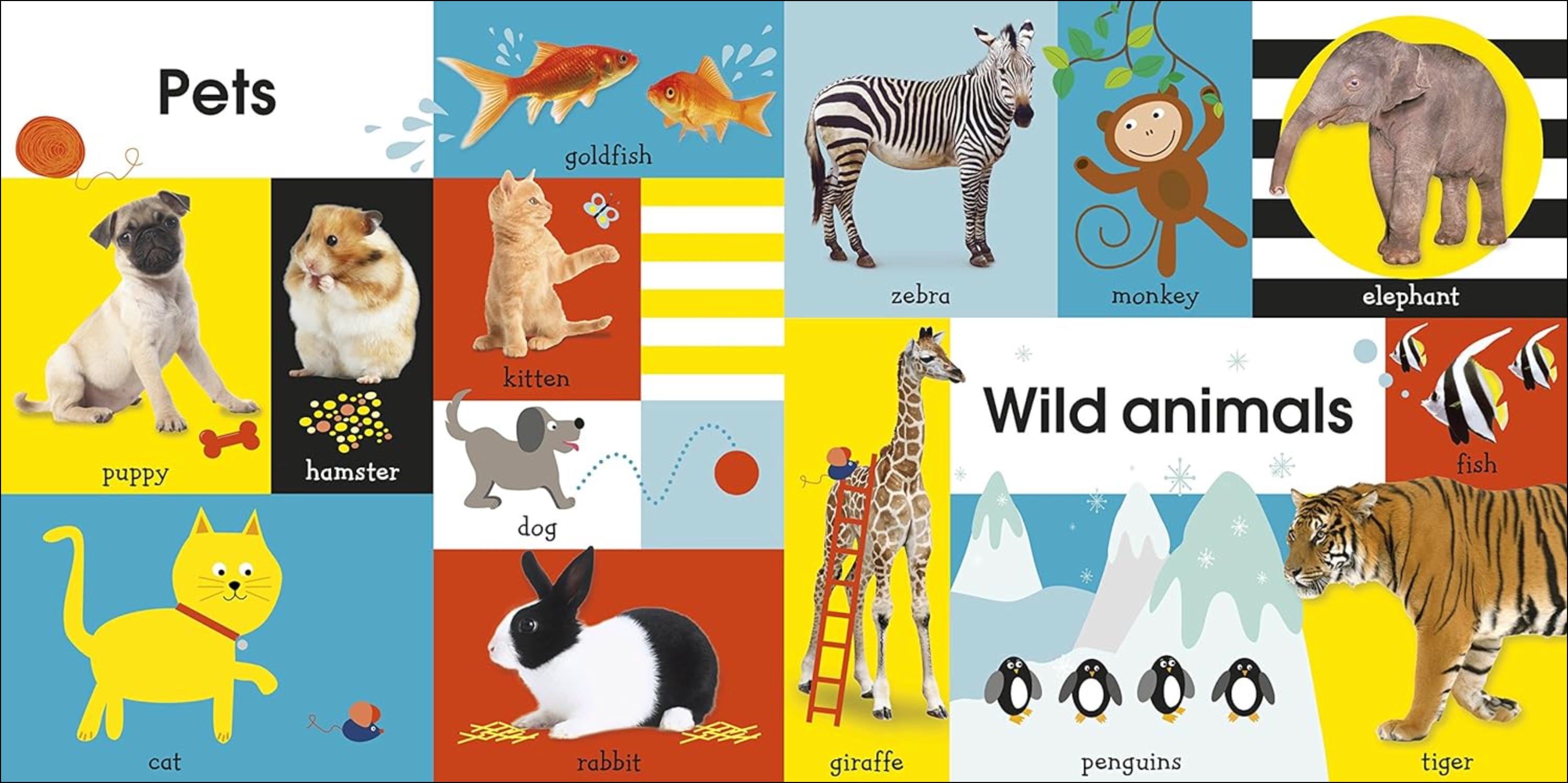 100 First Words, , large