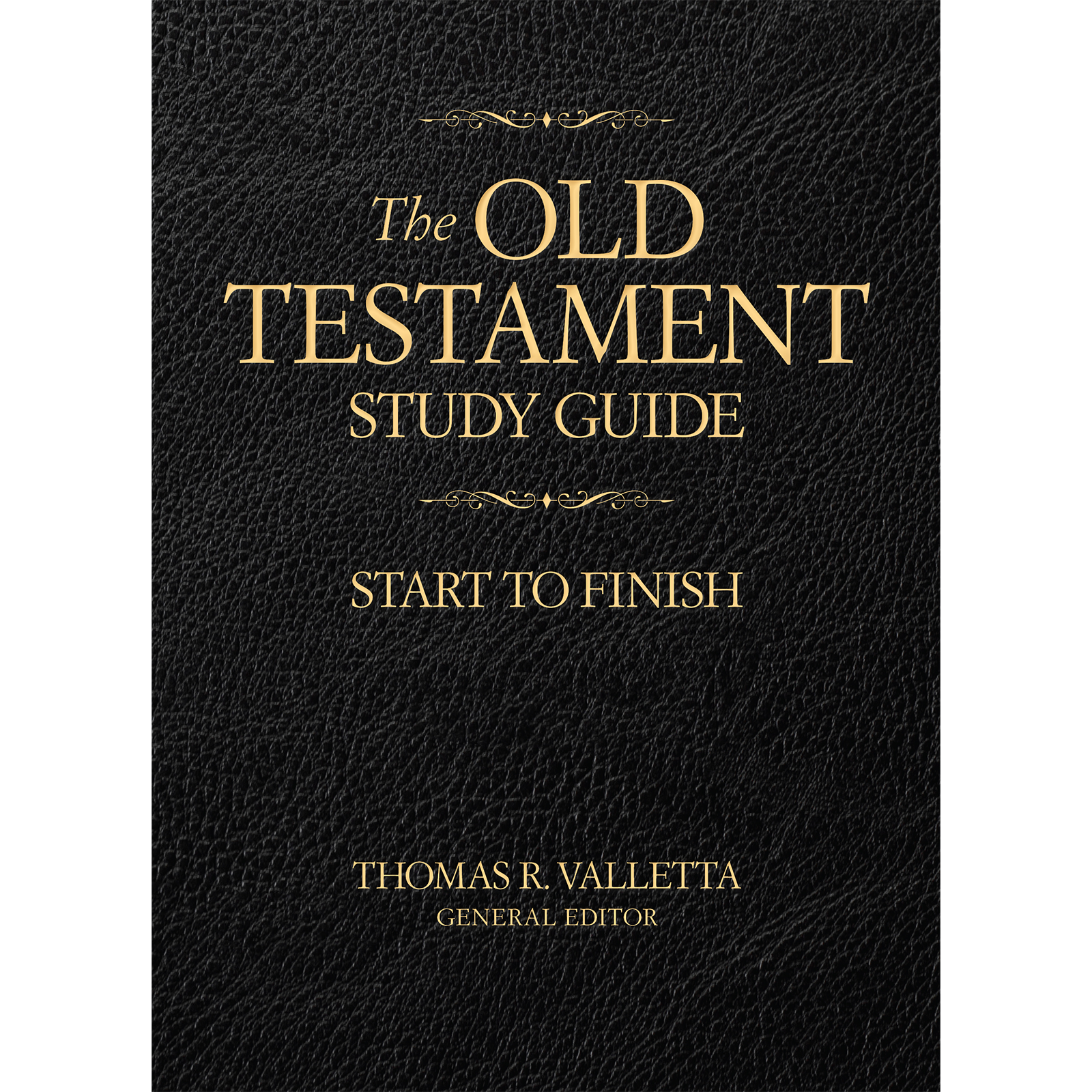 Old Testament Study Guide, , large image number 0