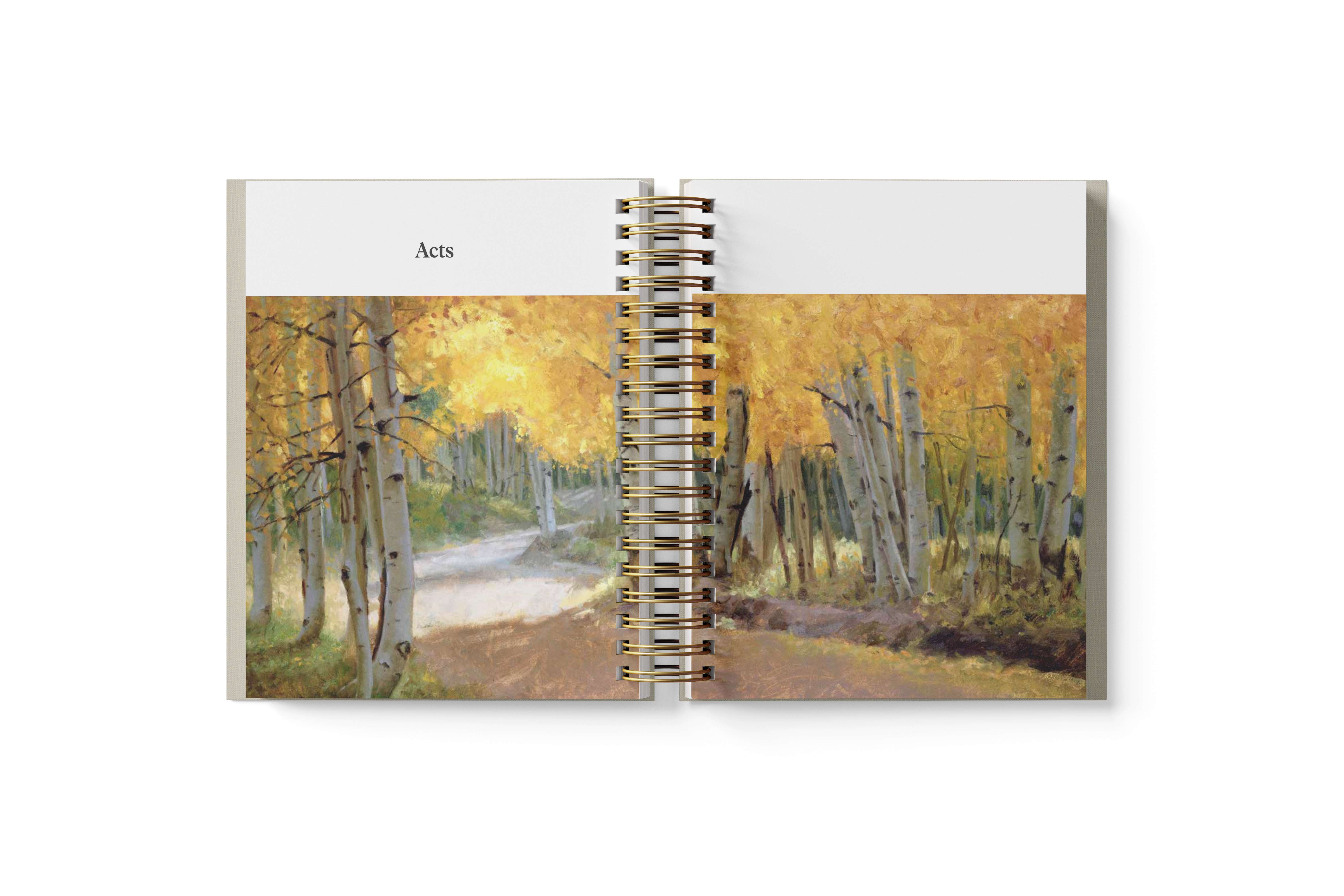 Don't Miss This 2027 New Testament Devotional Journal , , large image number 3