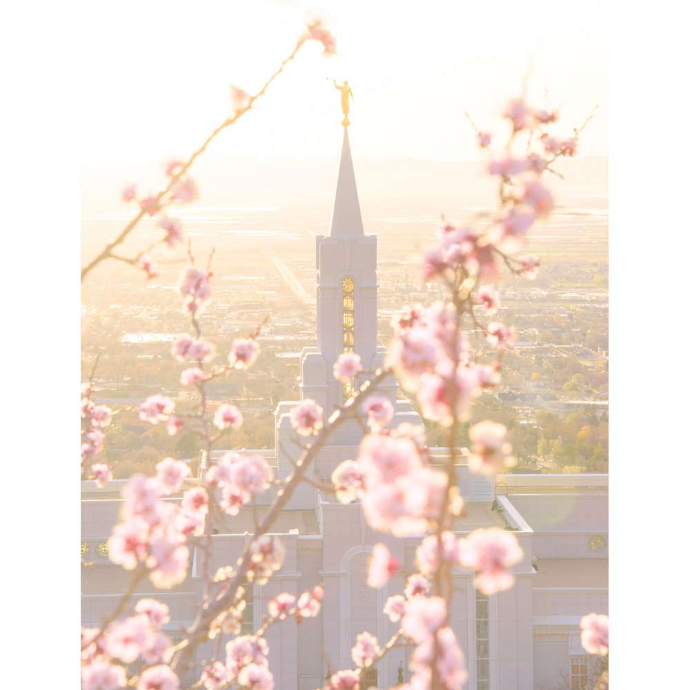 Bountiful Utah Temple - Spring Blossoms Print