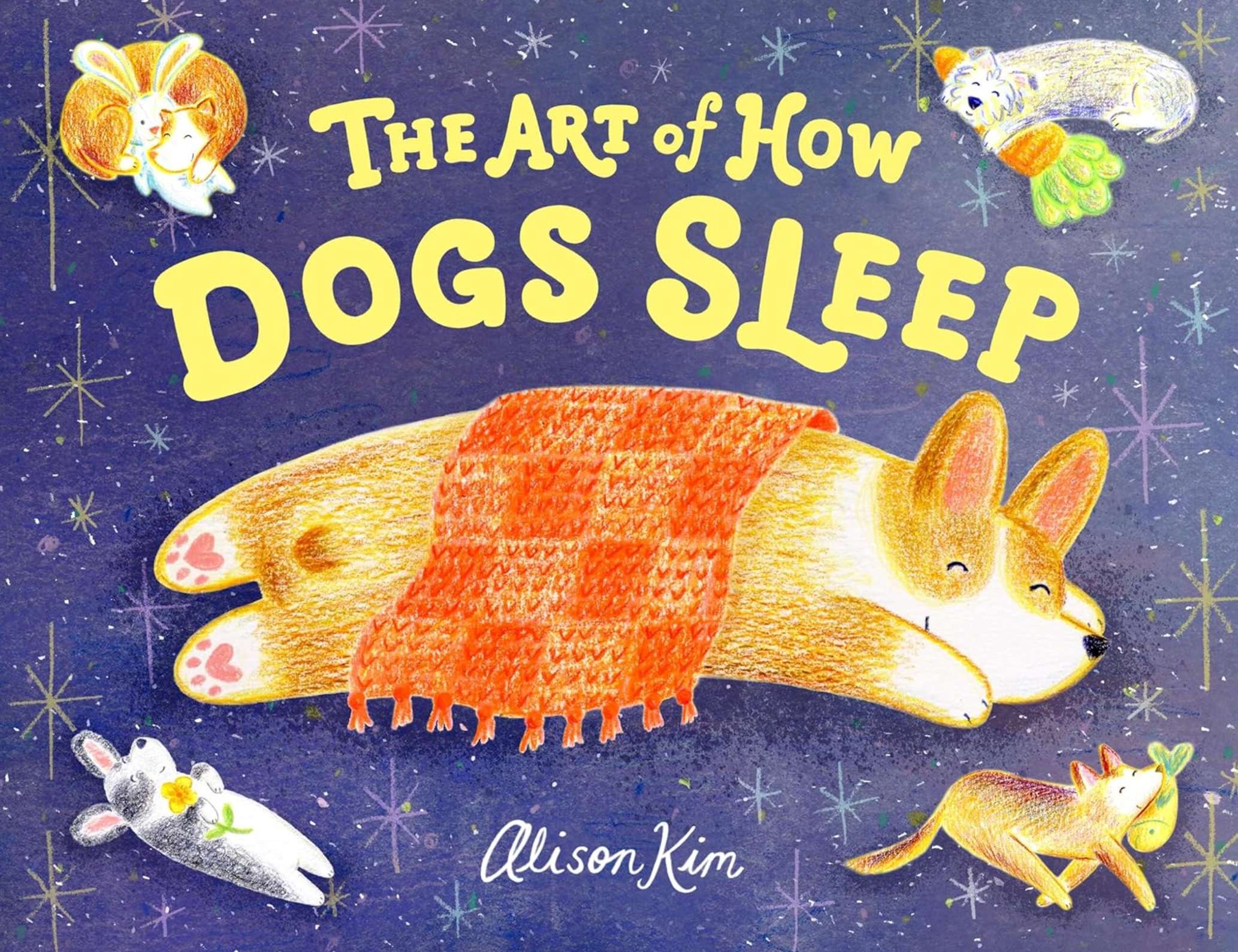 The Art of How Dogs Sleep