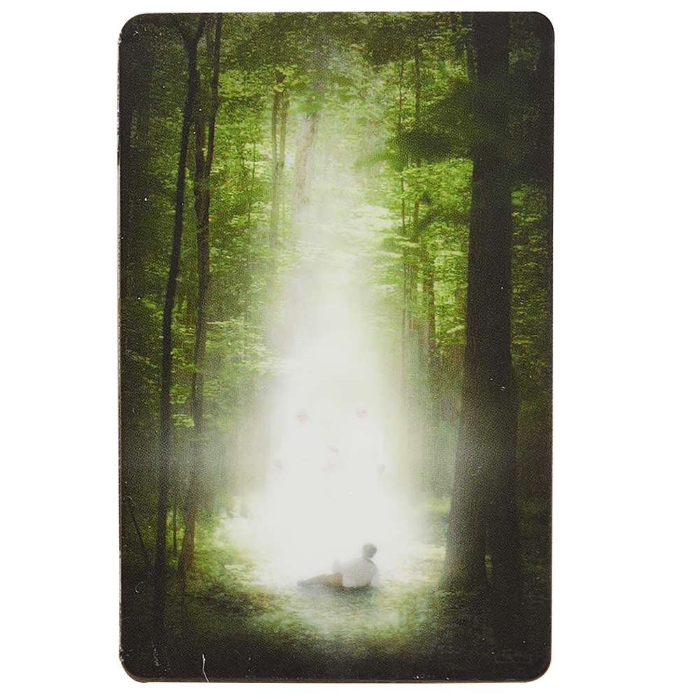 Sacred Grove Recommend Holder, , large image number 0