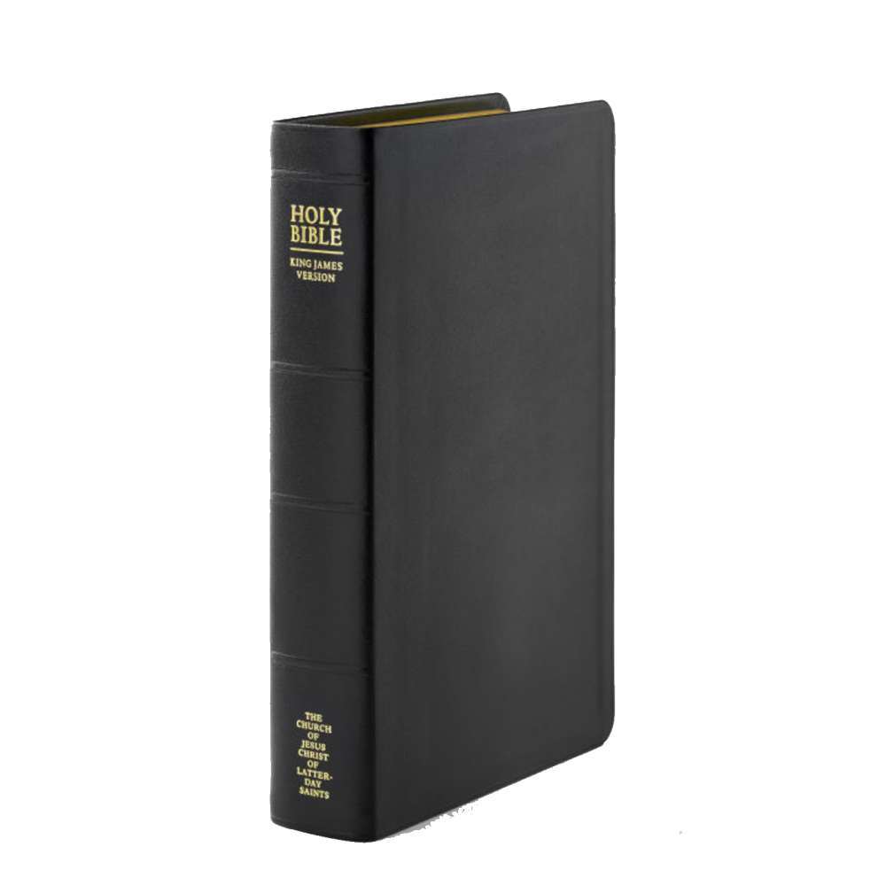 Holy Bible, Genuine Leather, Large, Indexed, , large