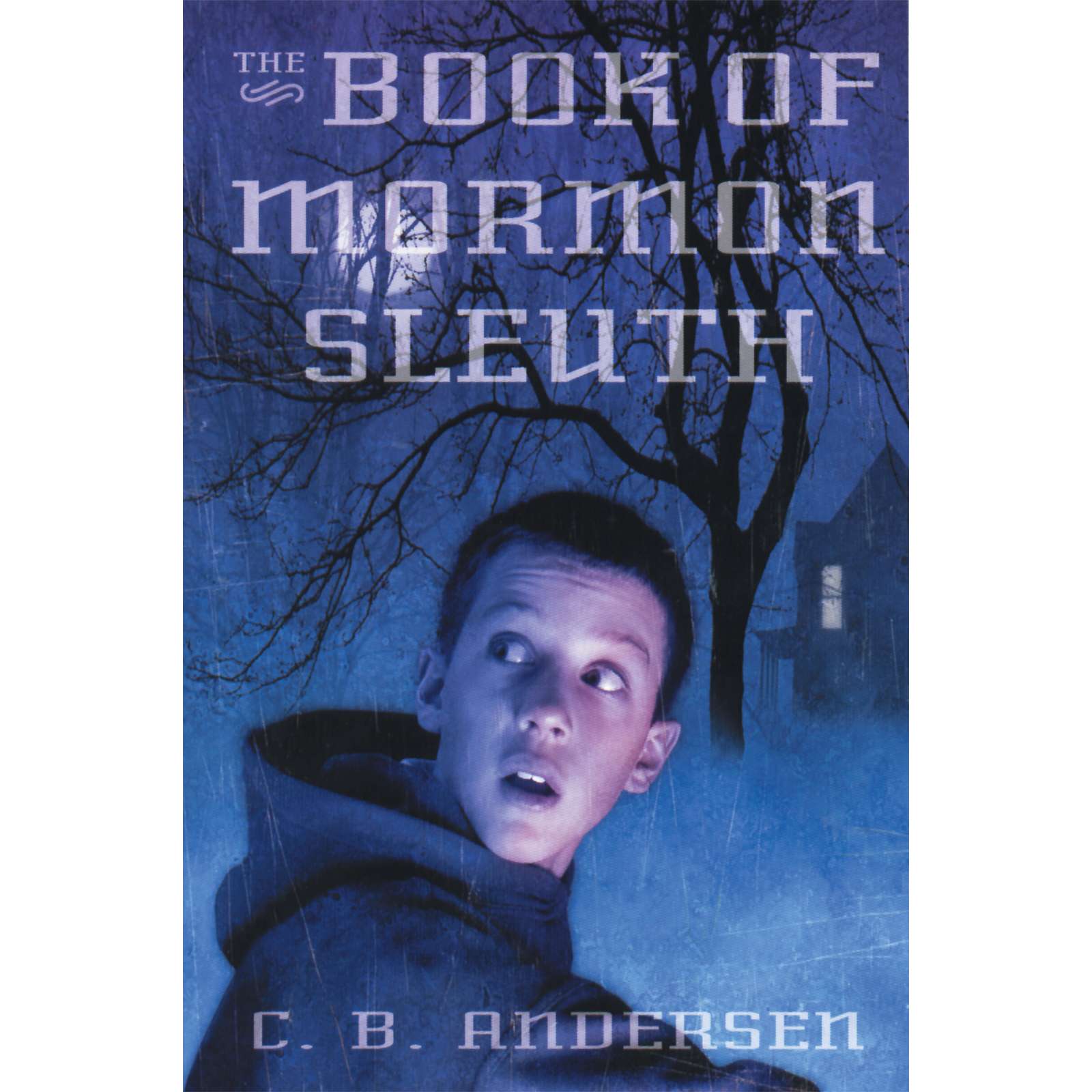The Book of Mormon Sleuth, , large image number 0