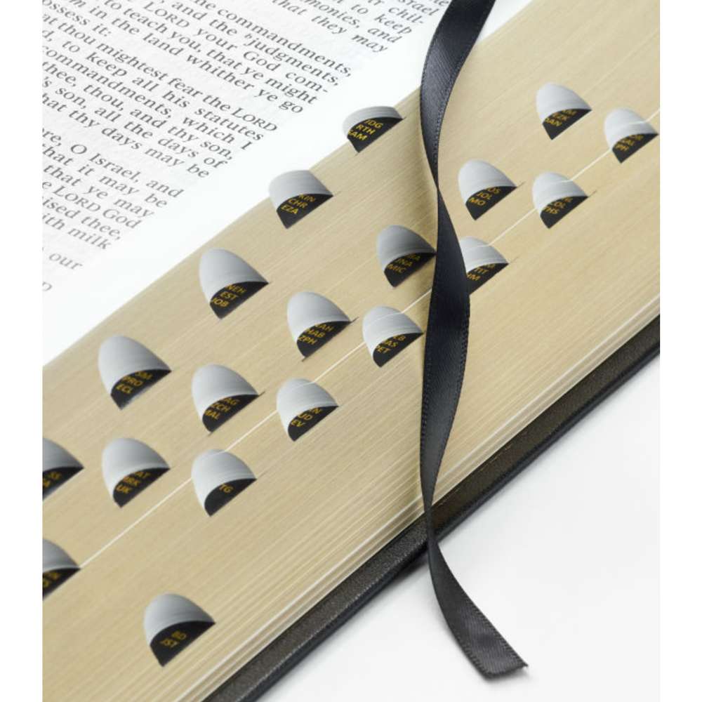 Holy Bible, Genuine Leather, Large, Indexed, , large image number 2