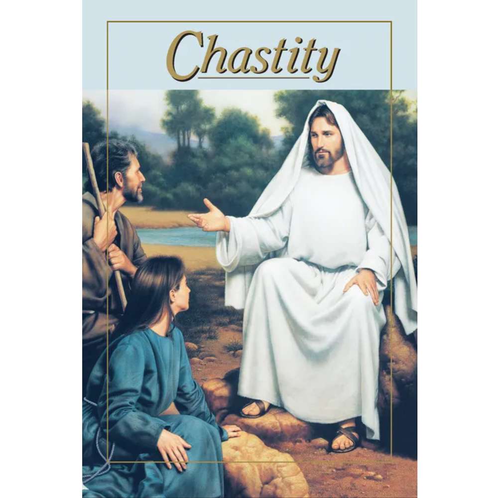 Missionary Teaching Pamphlet Set, , large image number 6