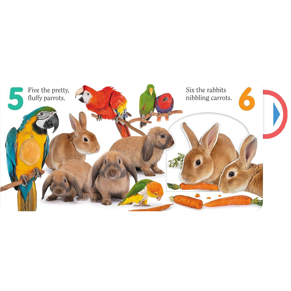 Count Pet, , large image number 4