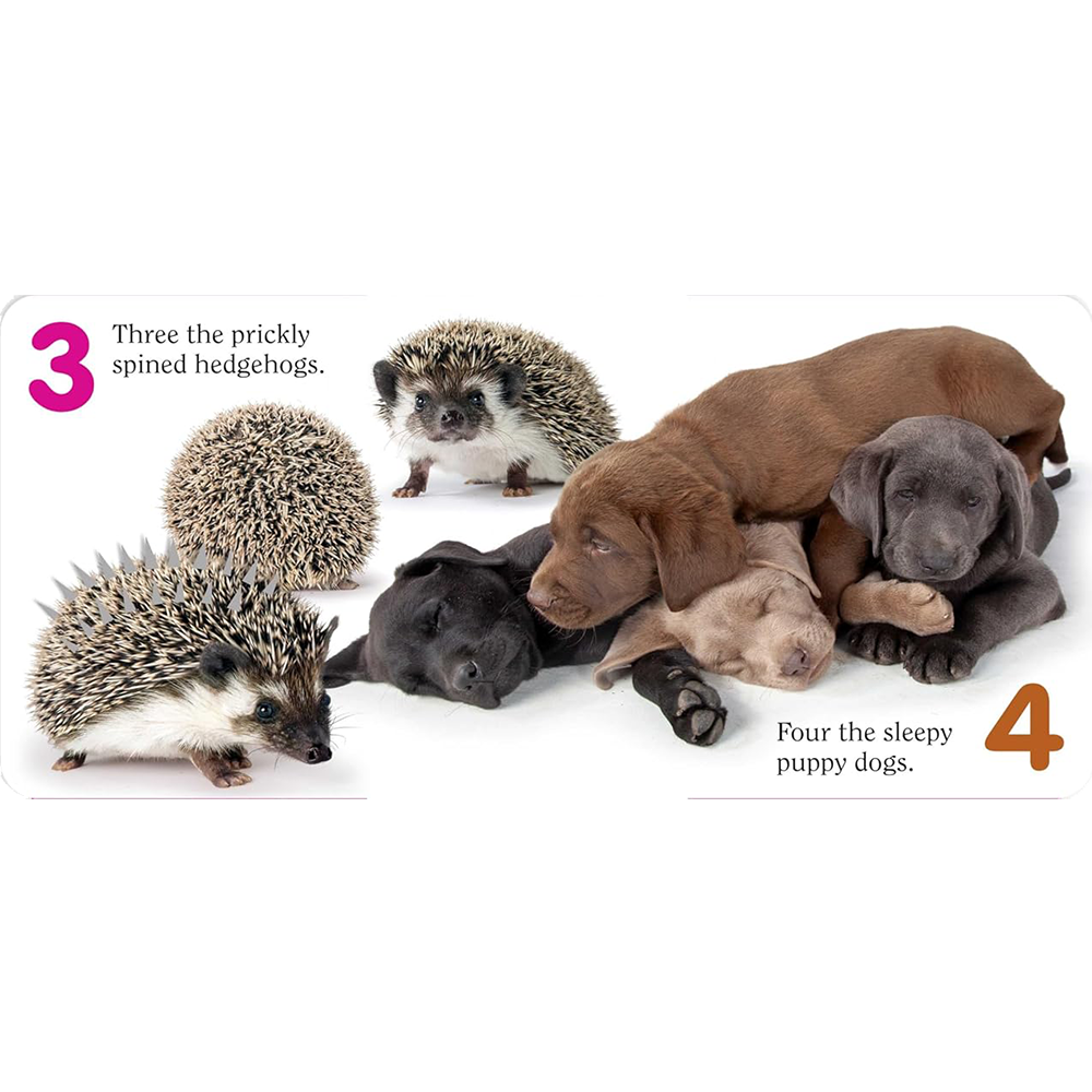 Count Pet, , large image number 3