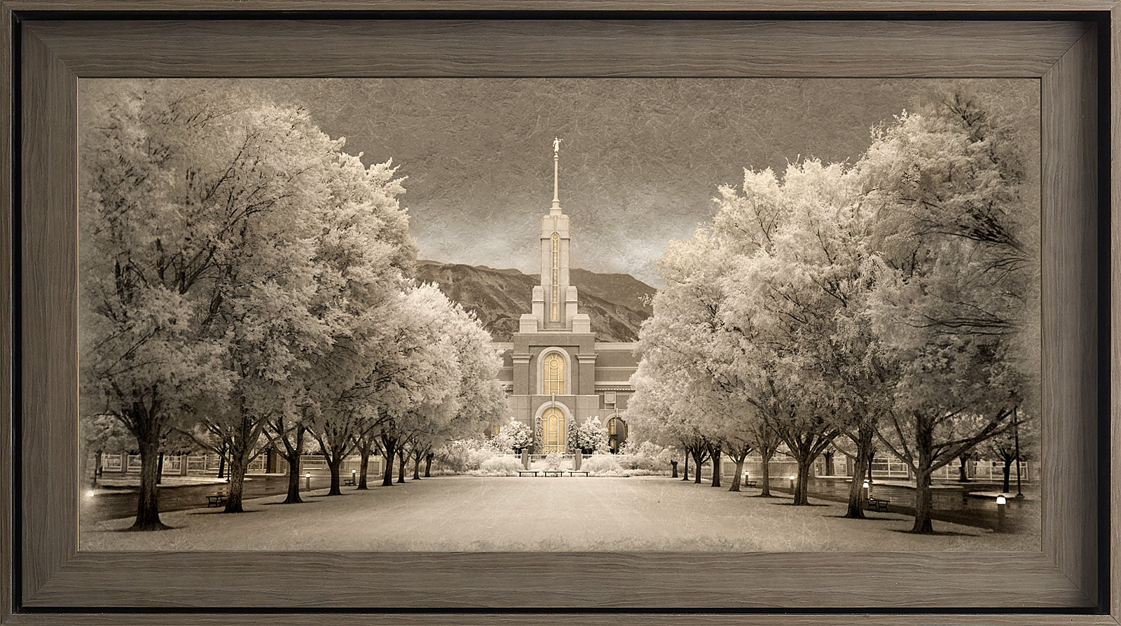Mount Timpanogos Utah Temple, Gray Wood (22x39 Framed Textured Paper)
