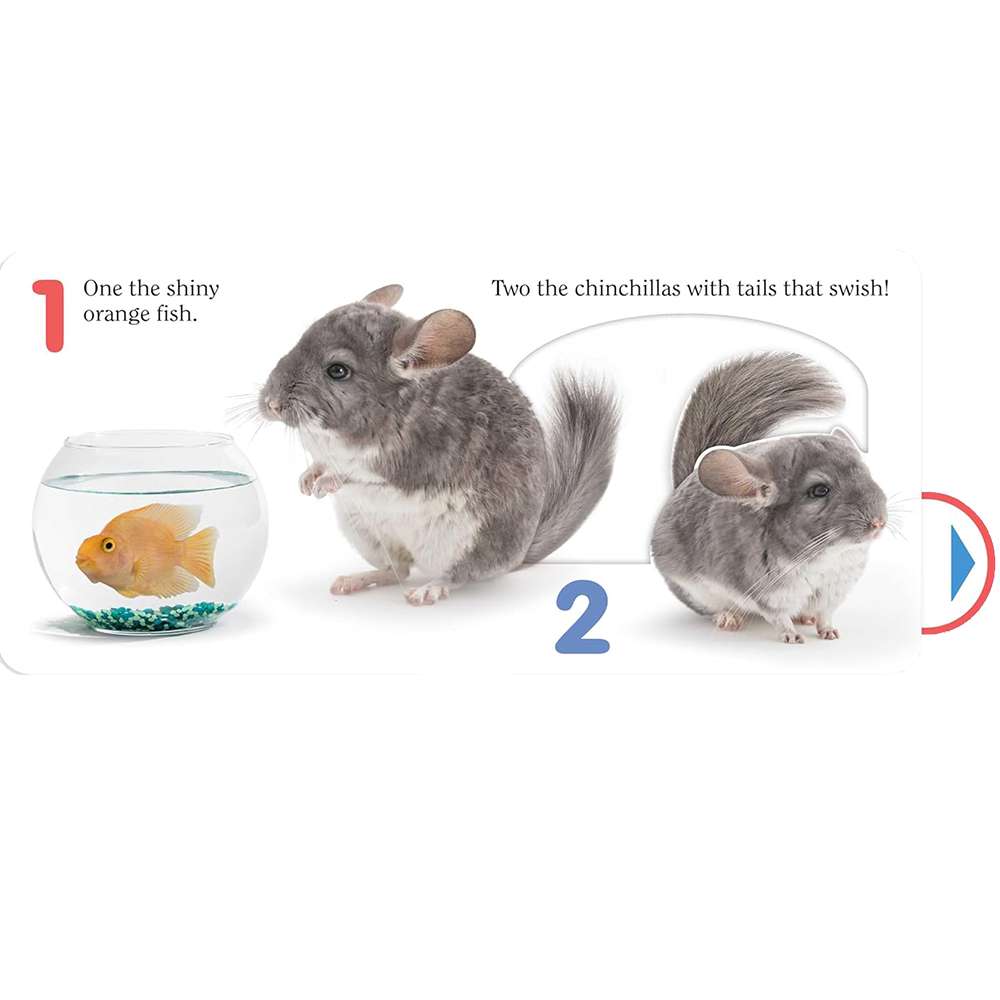 Count Pet, , large image number 2