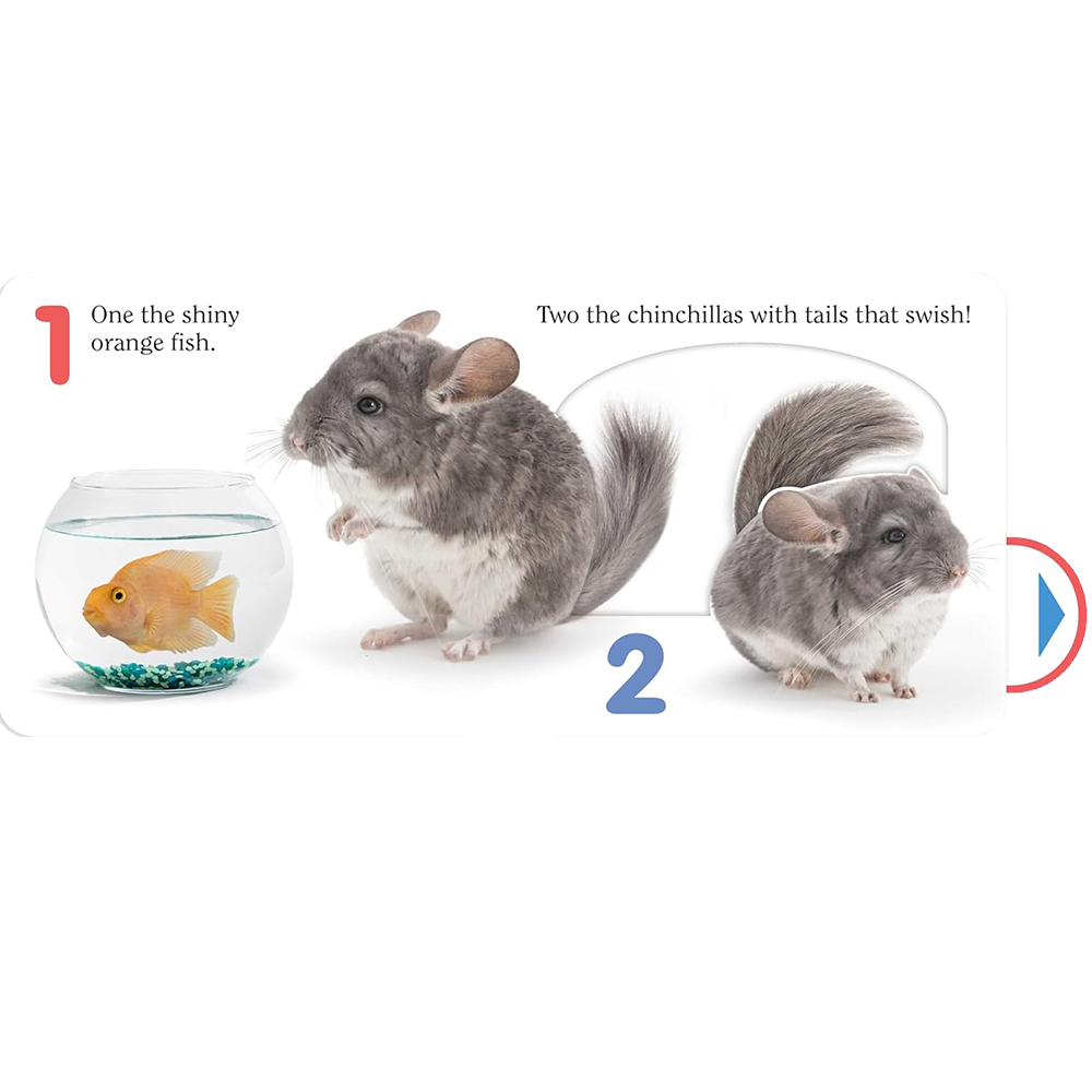 Count Pet, , large image number 2