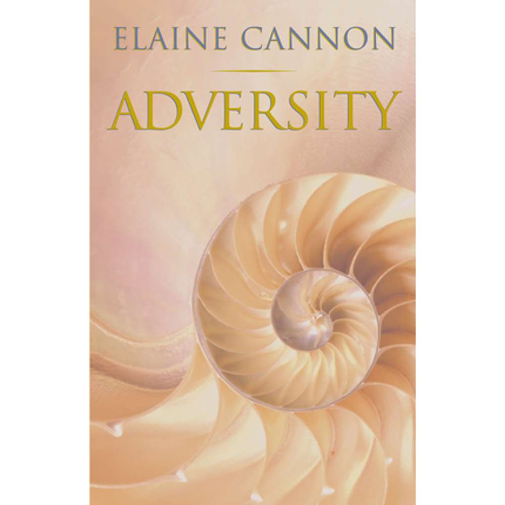 Adversity 2