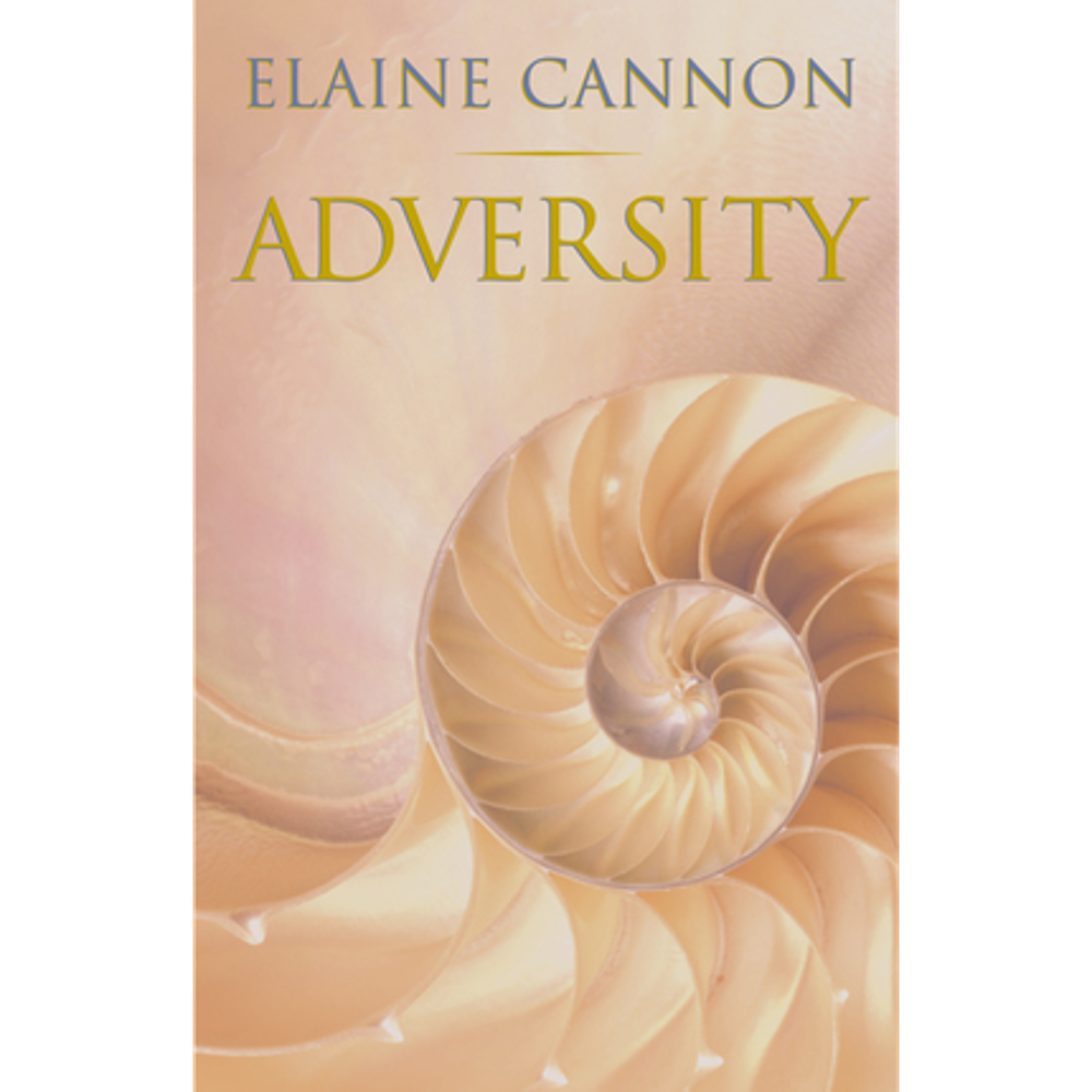 Adversity, , large image number 0