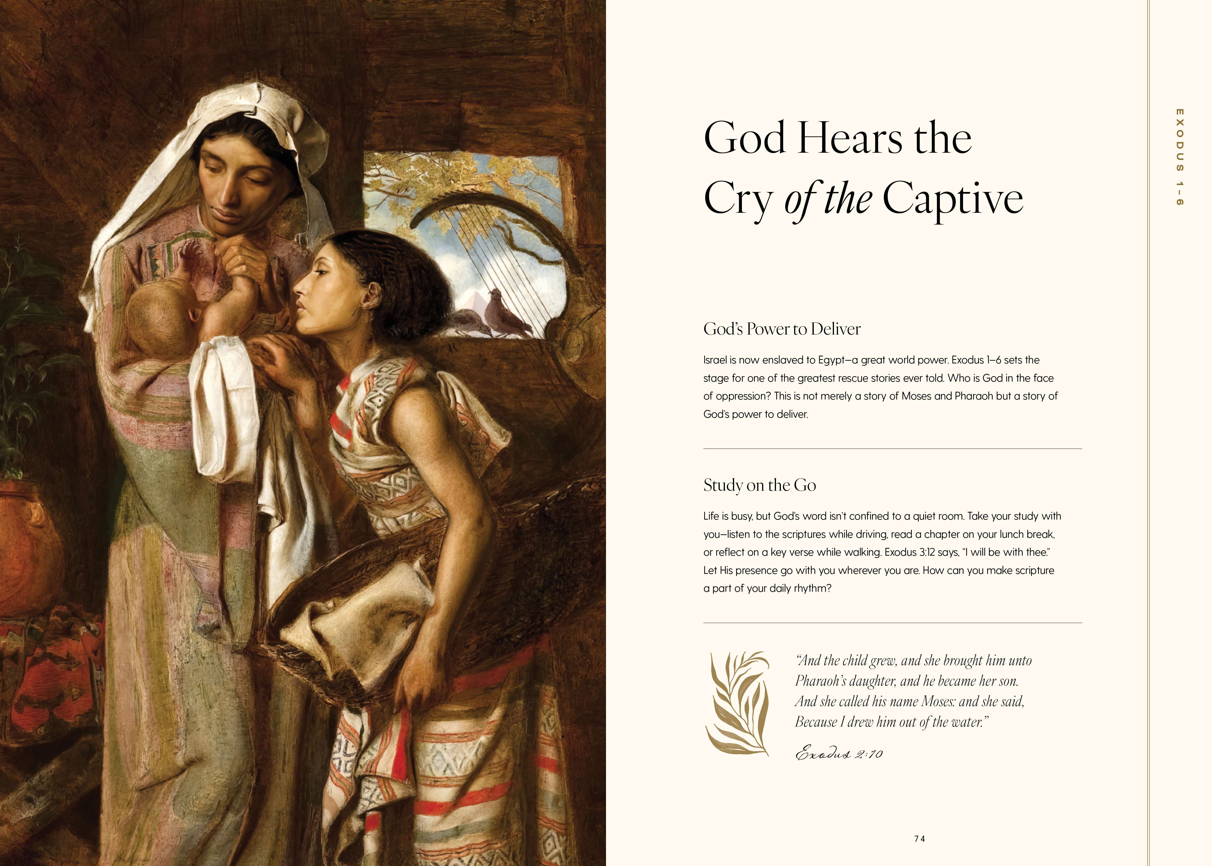 Seek: A Guided Journey Through the Old Testament, , large image number 4