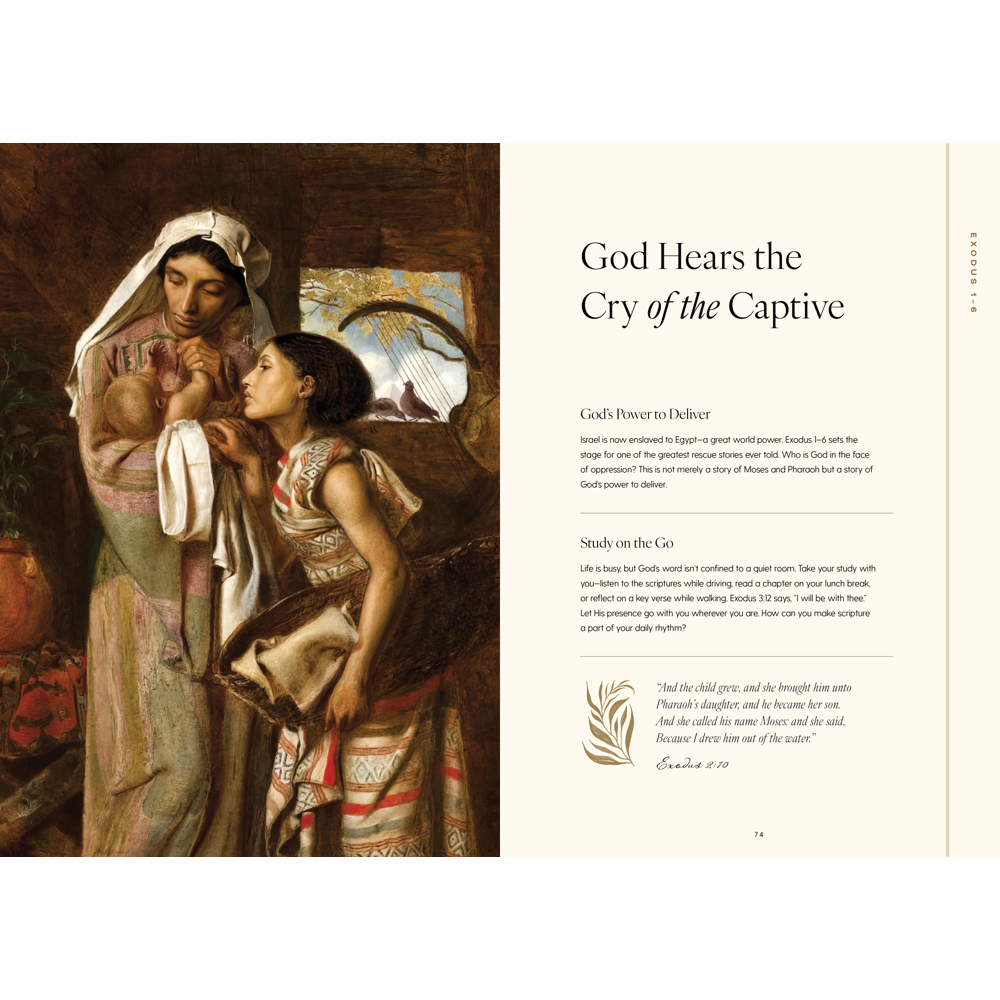 Seek: A Guided Journey Through the Old Testament, , large image number 4