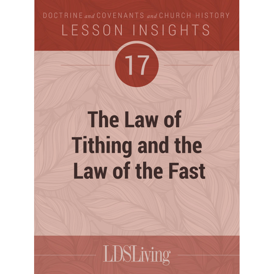 Lesson Insights Doctrine and Covenants and Church History #17, , large image number 0
