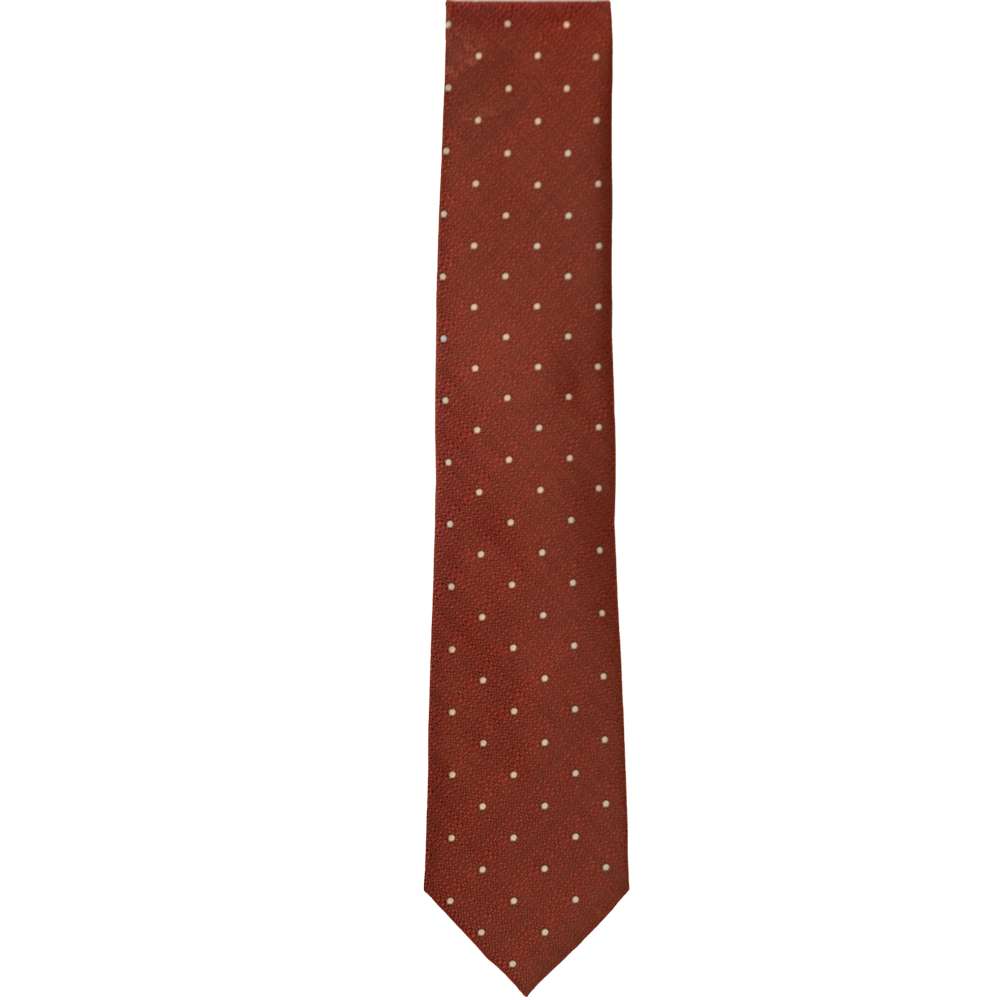 Men's Levi Polyester Necktie