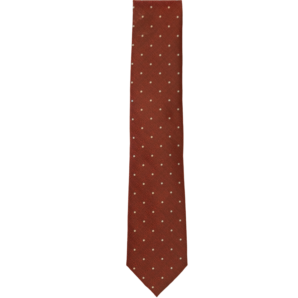 Men's Levi Polyester Necktie