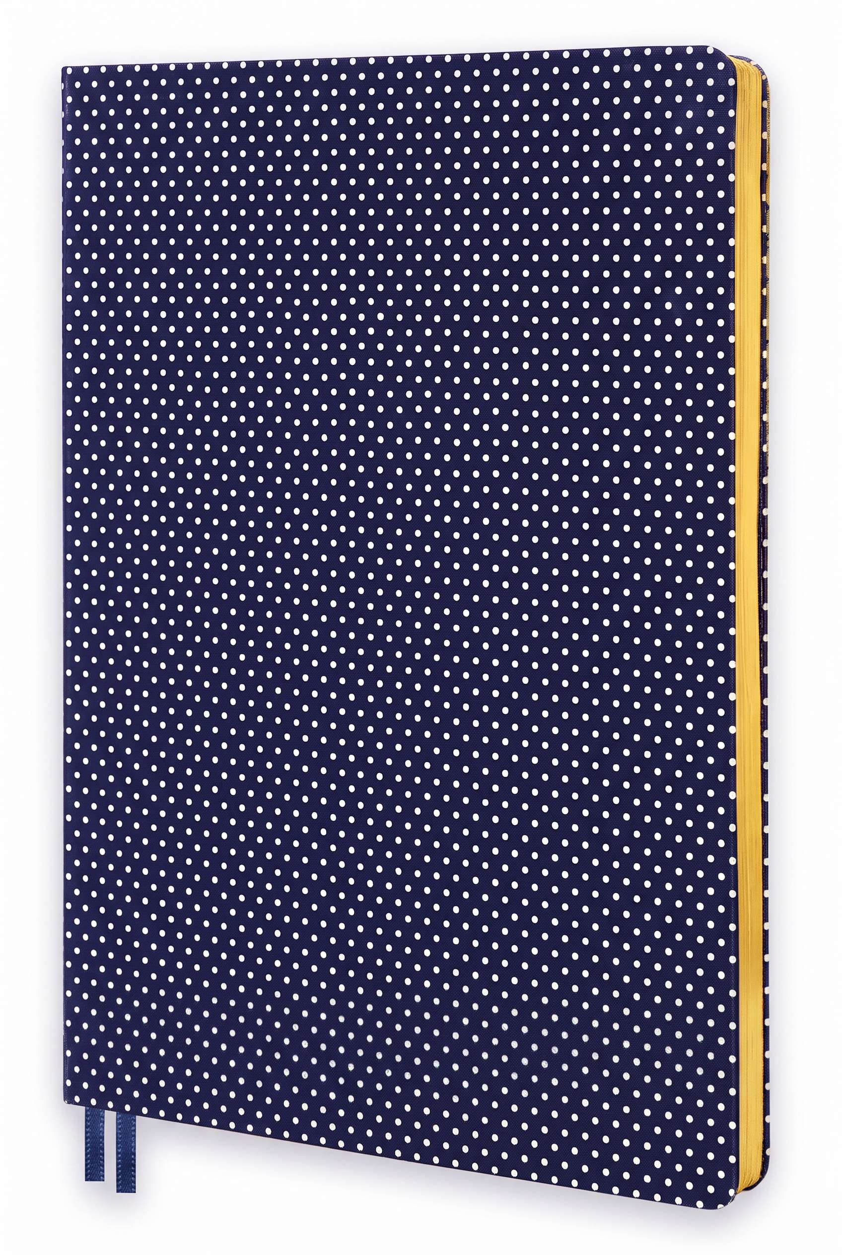 Polka Dot Navy Journal, , large image number 2
